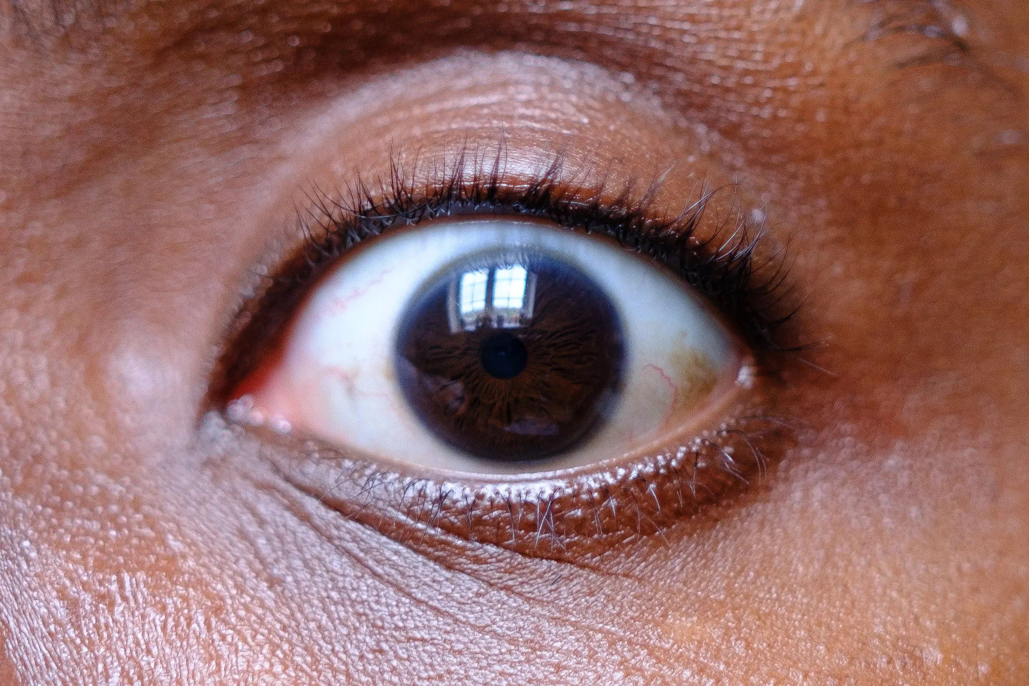 in focus, extremely detailed, wide open brown human eye and lashes.